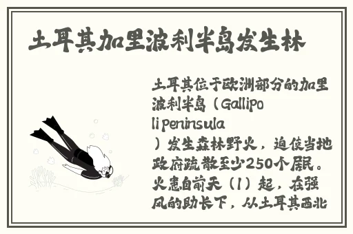 蚍蜉**蝌**66